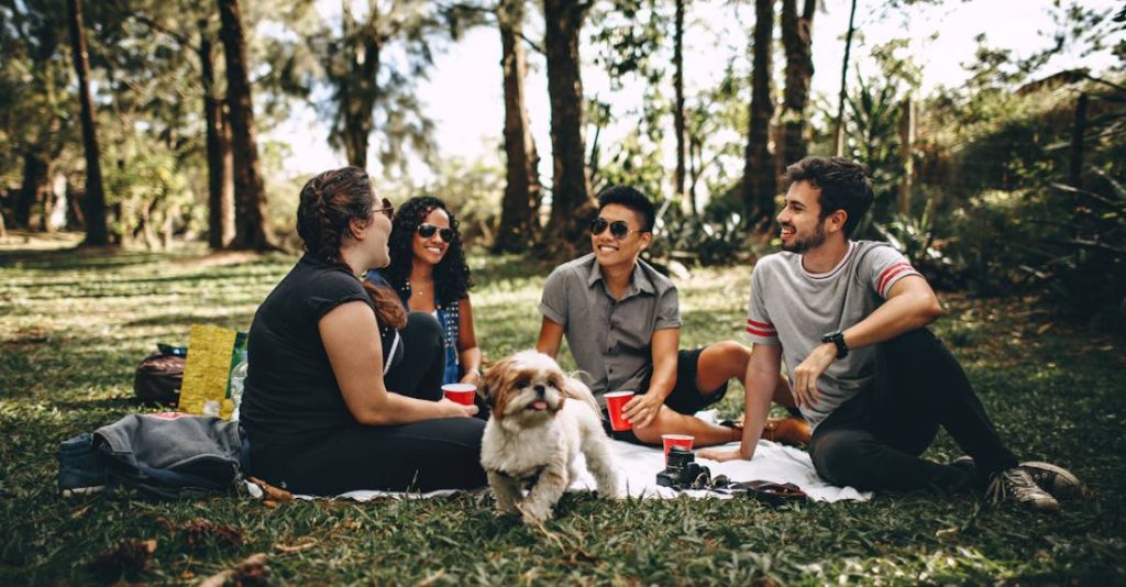 Picnic - Group of People Sitting on White Mat on Grass Field