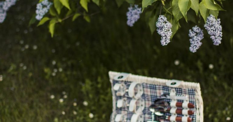 Picnic - White Wicker Basket