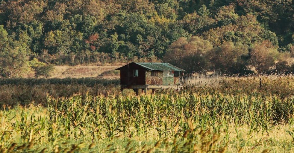 Cottages - Wooden Cottage on Grassland in Countryside