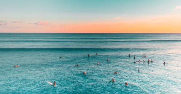 Paddleboarding - People Swimming on Sea Under a Blue Sky